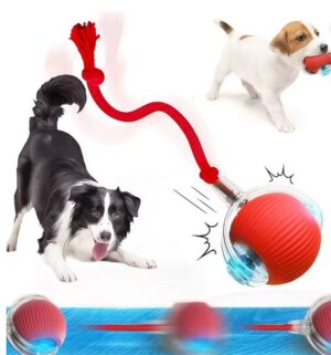 Smart Interactive Dog & Cat Ball Toy – Automatic Rolling Rechargeable Pet Training Toy
