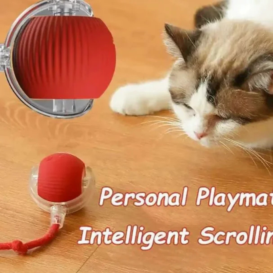 Smart Interactive Dog & Cat Ball Toy – Automatic Rolling Rechargeable Pet Training Toy - Image 9