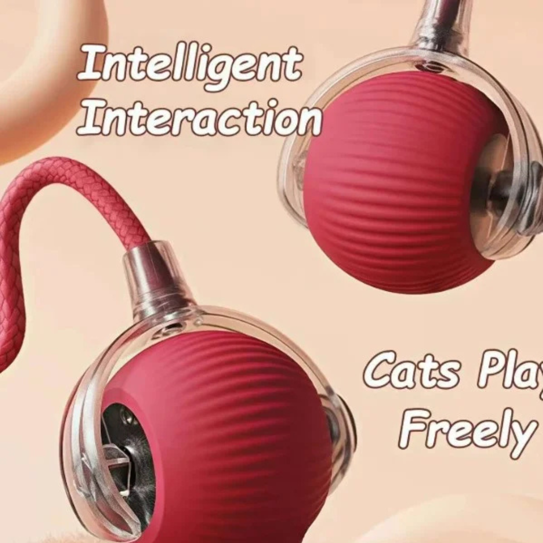 Smart Interactive Dog & Cat Ball Toy – Automatic Rolling Rechargeable Pet Training Toy - Image 8