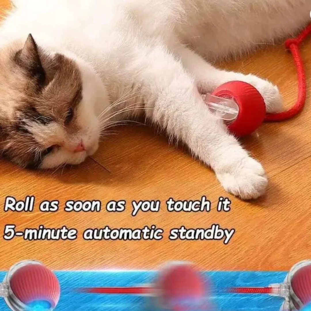 Smart Interactive Dog & Cat Ball Toy – Automatic Rolling Rechargeable Pet Training Toy - Image 7