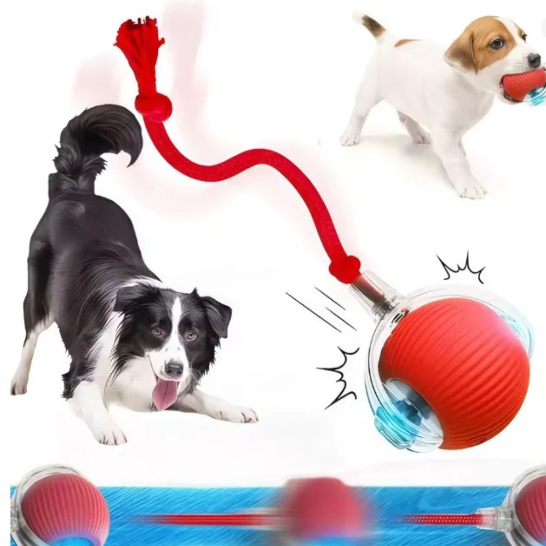 Smart Interactive Dog & Cat Ball Toy – Automatic Rolling Rechargeable Pet Training Toy - Image 3